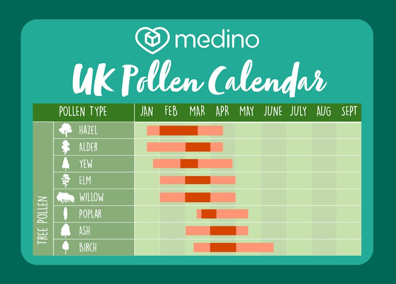 UK pollen calendar for hayfever medino